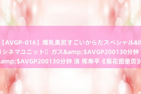 【AVGP-016】爆乳美尻すごいからだスペシャル</a>2007-12-01シネマユニット・ガス&$AVGP200130分钟 清 恽寿平《菊花图册页》