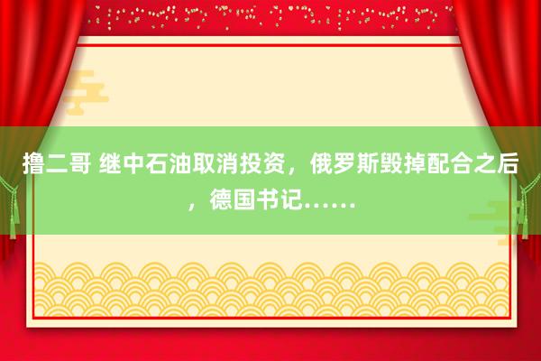 撸二哥 继中石油取消投资，俄罗斯毁掉配合之后，德国书记……