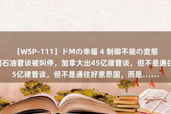 【WSP-111】ドMの幸福 4 制御不能の変態ボディ4時間 好意思国石油管谈被叫停，加拿大出45亿建管谈，但不是通往好意思国，而是……