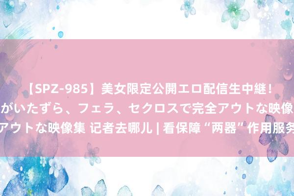 【SPZ-985】美女限定公開エロ配信生中継！素人娘、カップルたちがいたずら、フェラ、セクロスで完全アウトな映像集 记者去哪儿 | 看保障“两器”作用服务民生国计