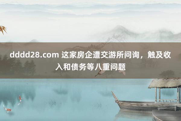 dddd28.com 这家房企遭交游所问询，触及收入和债务等八重问题