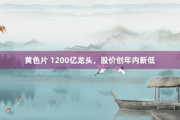 黄色片 1200亿龙头，股价创年内新低