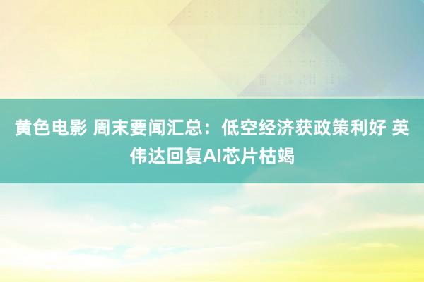 黄色电影 周末要闻汇总：低空经济获政策利好 英伟达回复AI芯片枯竭