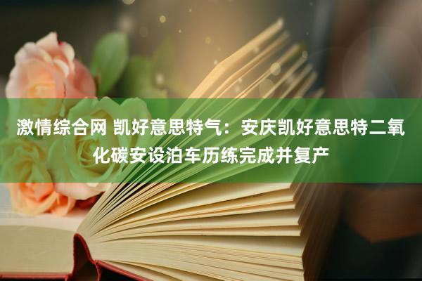 激情综合网 凯好意思特气：安庆凯好意思特二氧化碳安设泊车历练完成并复产