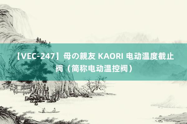 【VEC-247】母の親友 KAORI 电动温度截止阀（简称电动温控阀）