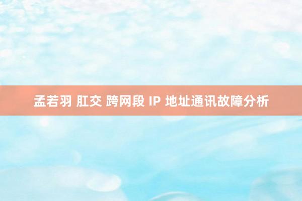 孟若羽 肛交 跨网段 IP 地址通讯故障分析