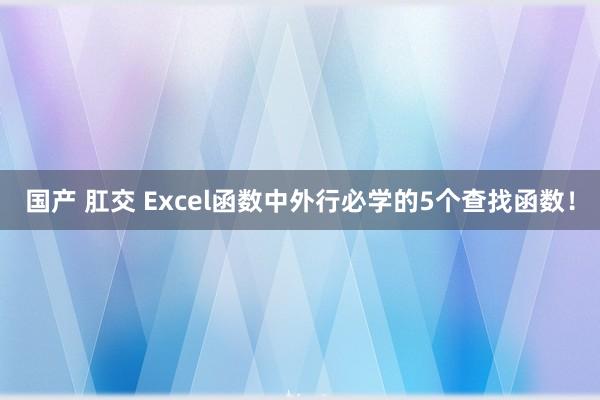 国产 肛交 Excel函数中外行必学的5个查找函数！