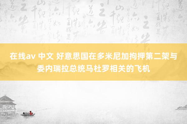 在线av 中文 好意思国在多米尼加拘押第二架与委内瑞拉总统马杜罗相关的飞机