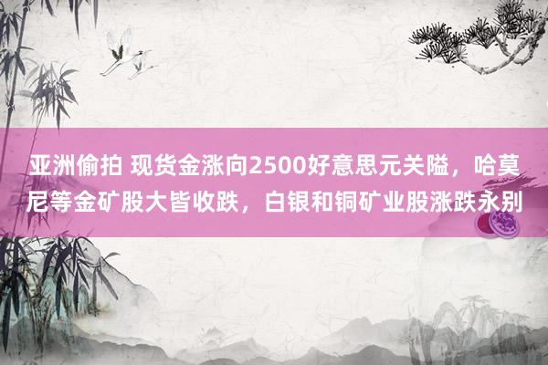 亚洲偷拍 现货金涨向2500好意思元关隘，哈莫尼等金矿股大皆收跌，白银和铜矿业股涨跌永别