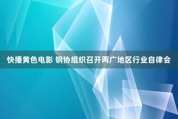 快播黄色电影 钢协组织召开两广地区行业自律会