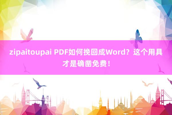 zipaitoupai PDF如何挽回成Word？这个用具才是确凿免费！