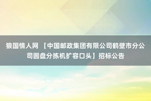 狼国情人网 【中国邮政集团有限公司鹤壁市分公司圆盘分拣机扩容口头】招标公告