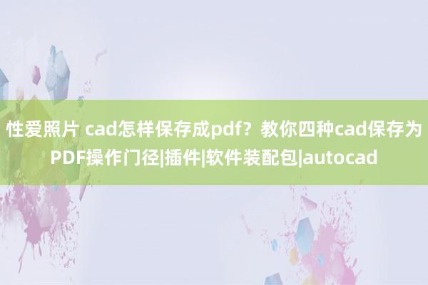 性爱照片 cad怎样保存成pdf？教你四种cad保存为PDF操作门径|插件|软件装配包|autocad